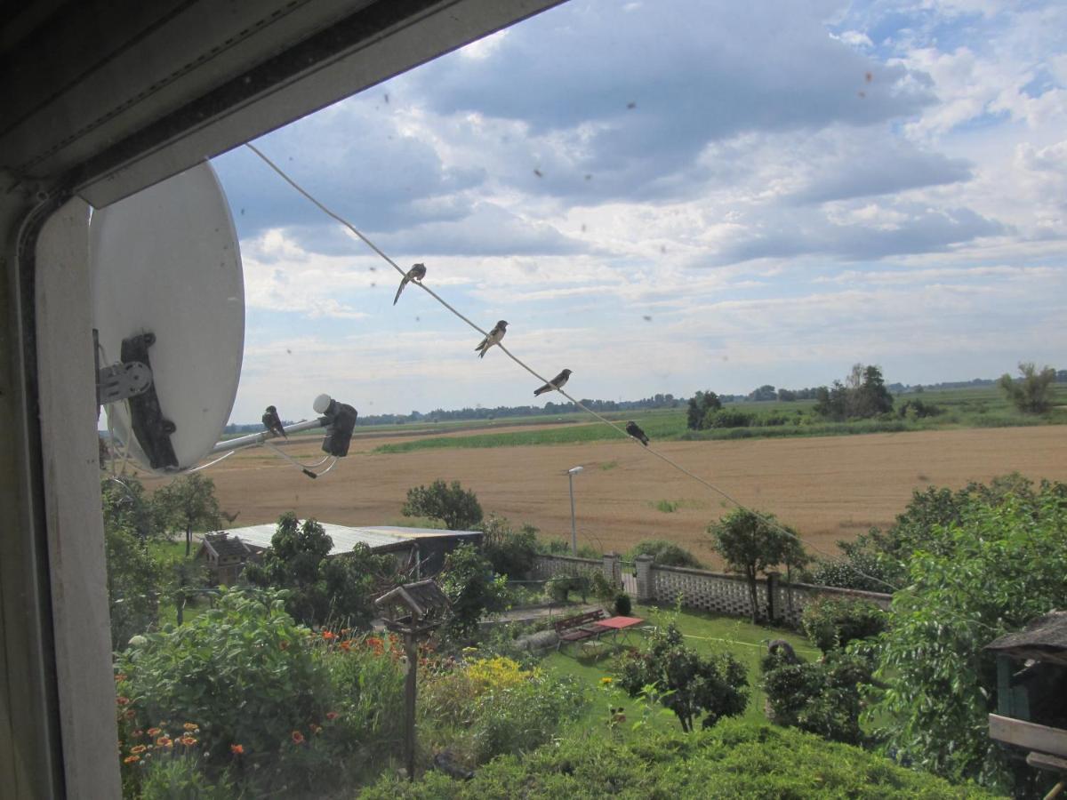 Zum Wiesengrund Im Oderbruch Altglietzen Dış mekan fotoğraf