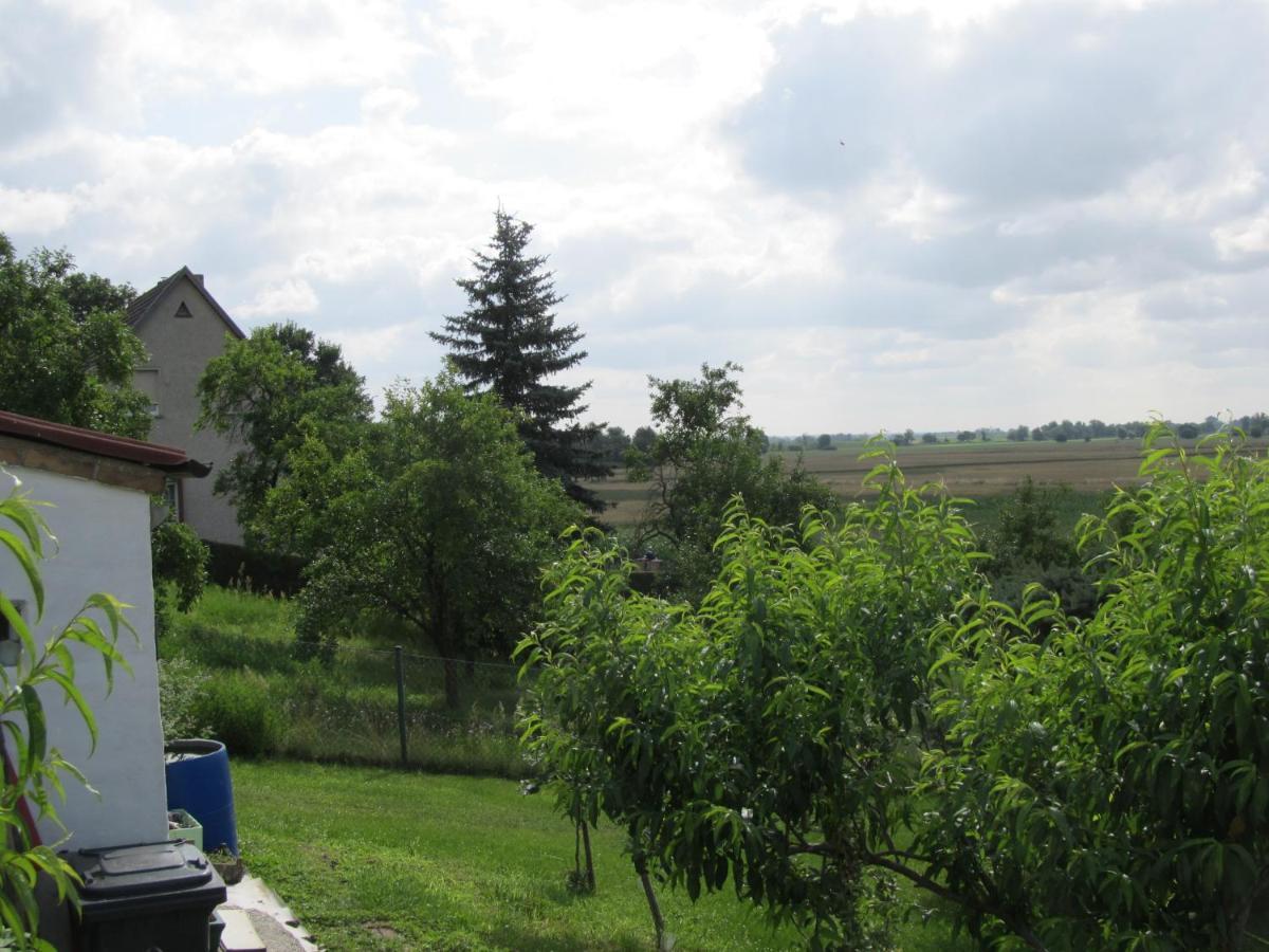 Zum Wiesengrund Im Oderbruch Altglietzen Dış mekan fotoğraf