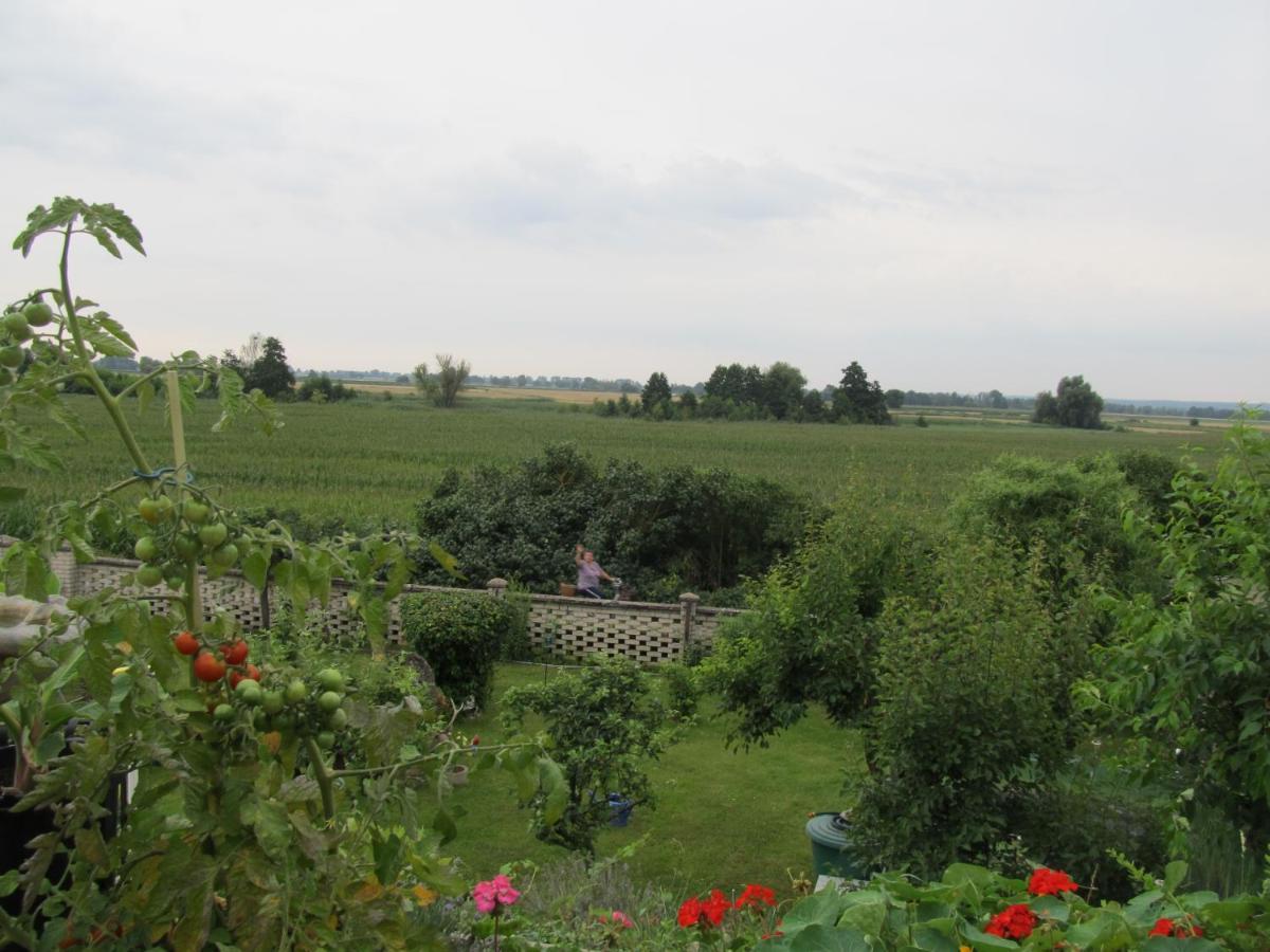 Zum Wiesengrund Im Oderbruch Altglietzen Dış mekan fotoğraf
